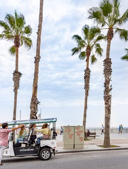 Barcelona: Private City Tour by Eco Tuk Tuk